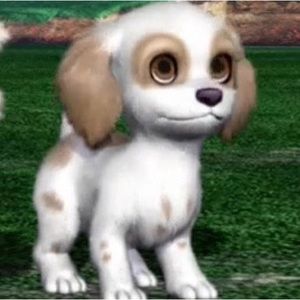 Meet your Posher, Gina 🌙